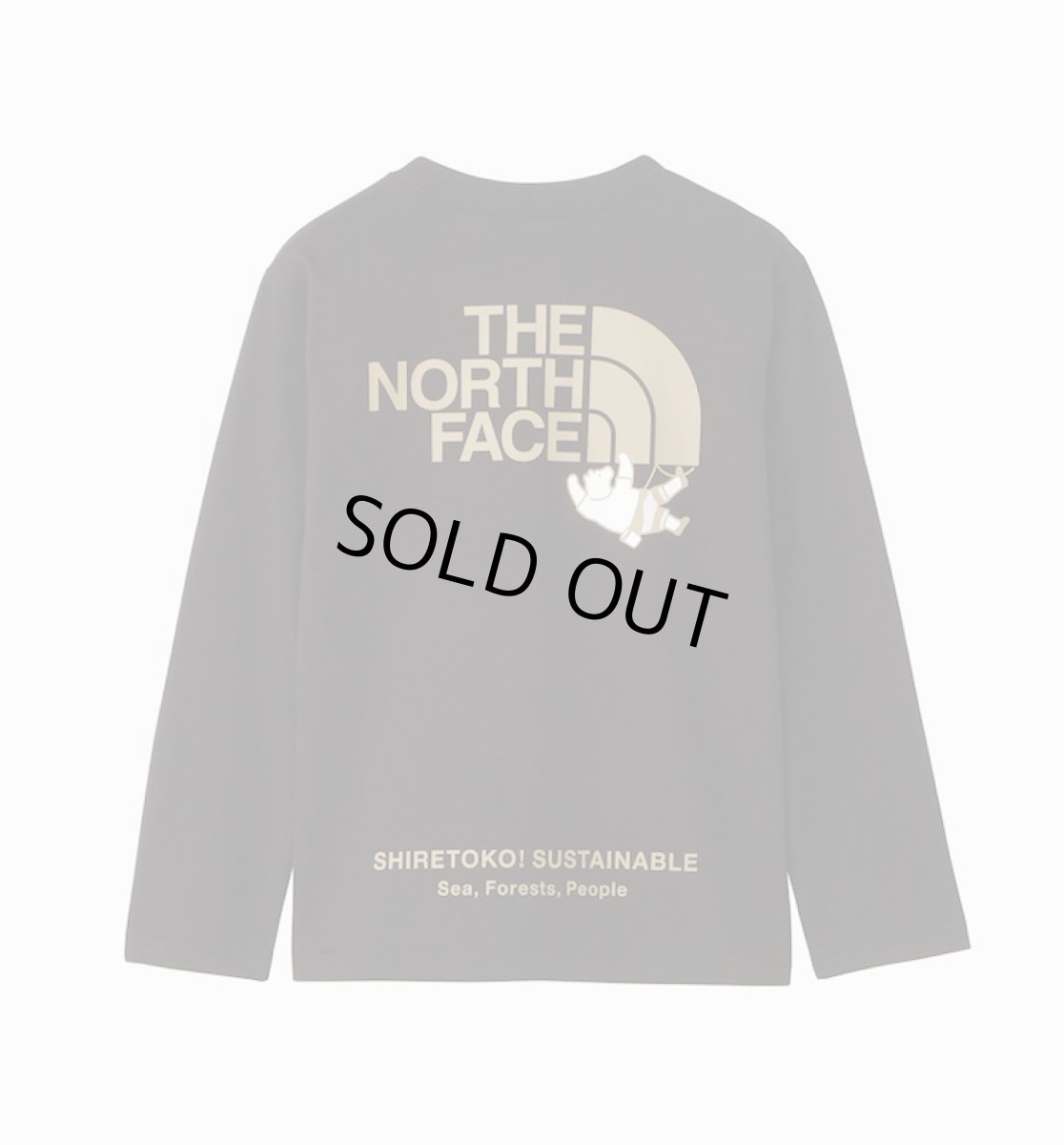 画像1: ザ・ノースフェイス/THE NORTH FACE/キッズ/ジュニア/子供服  L/S SHIRETOKO TOKO TEE ロングスリーブシレトコトコティー ブラック・K 100cm 110cm 120cm 130cm 140cm 150cm (1)