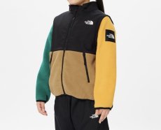 画像3: ザ・ノースフェイス/THE NORTH FACE/キッズ/ジュニア/子供服  Grand Denali 2way Jacket グランドデナリ2ウェイジャケット マルチカラー・MA 100cm 110cm  120cm 130cm 140cm 150cm (3)