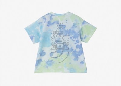 画像1: THE NORTH FACE ザ・ノースフェイス T S/S Novelty Big Root Tee トドラーショートスリーブノベルティビッグルートティー ブルー・B 100cm 110cm 120cm